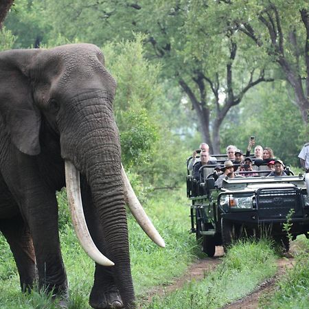 Karongwe Portfolio - Becks Safari Lodge Karongwe Game Reserve Екстер'єр фото