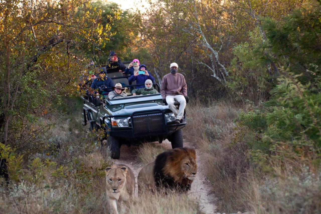 Karongwe Portfolio - Becks Safari Lodge Karongwe Game Reserve Екстер'єр фото