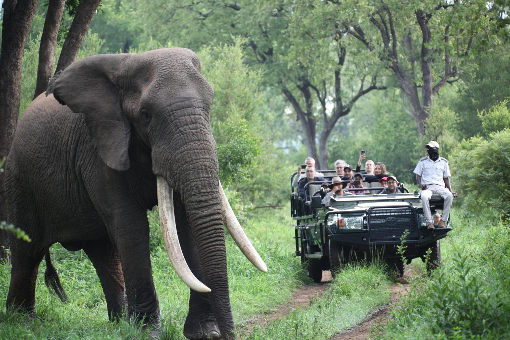 Karongwe Portfolio - Becks Safari Lodge Karongwe Game Reserve Екстер'єр фото