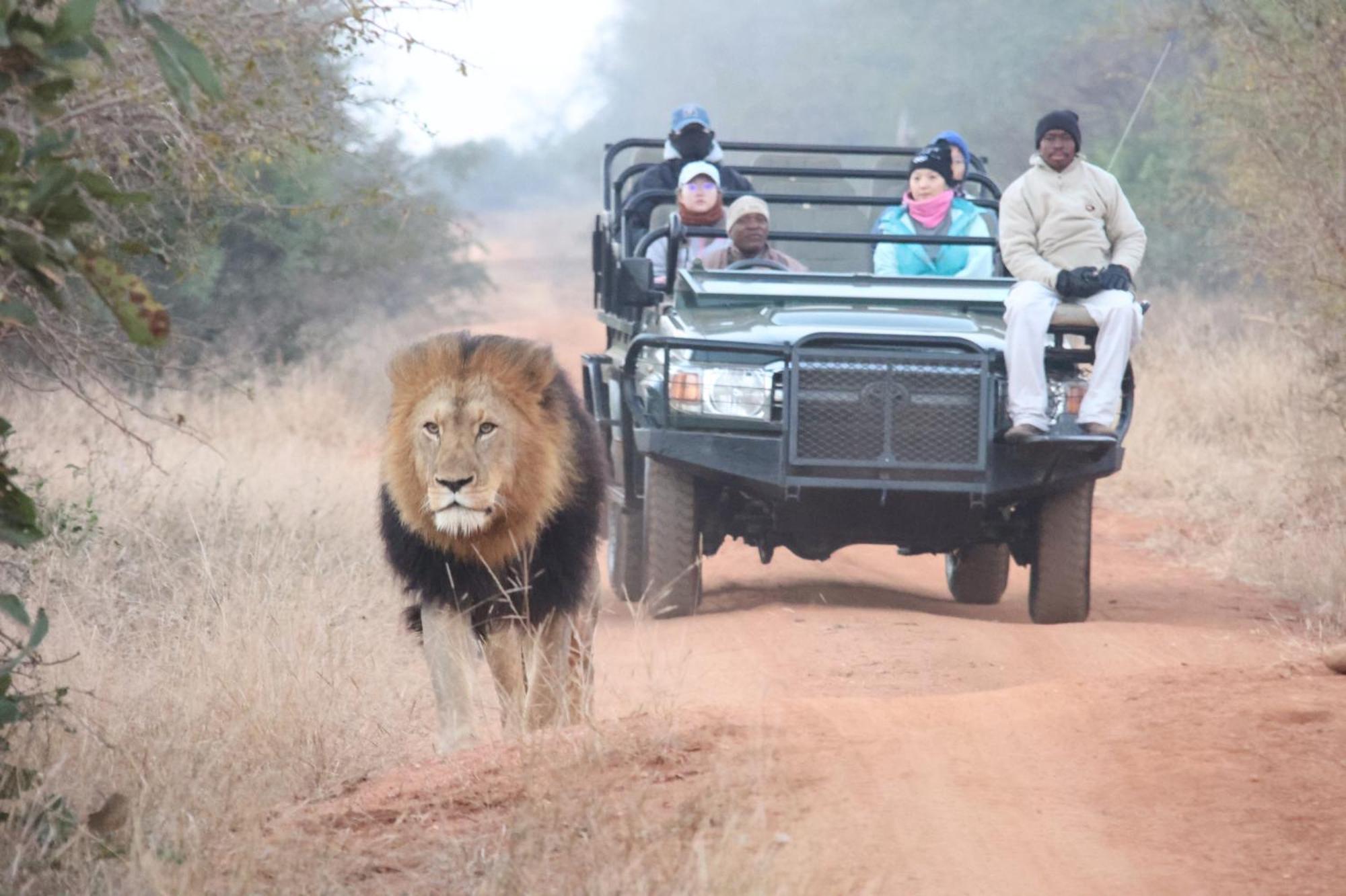 Karongwe Portfolio - Becks Safari Lodge Karongwe Game Reserve Екстер'єр фото