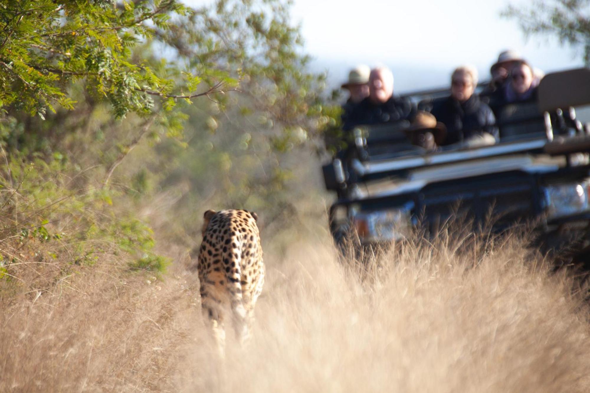 Karongwe Portfolio - Becks Safari Lodge Karongwe Game Reserve Екстер'єр фото
