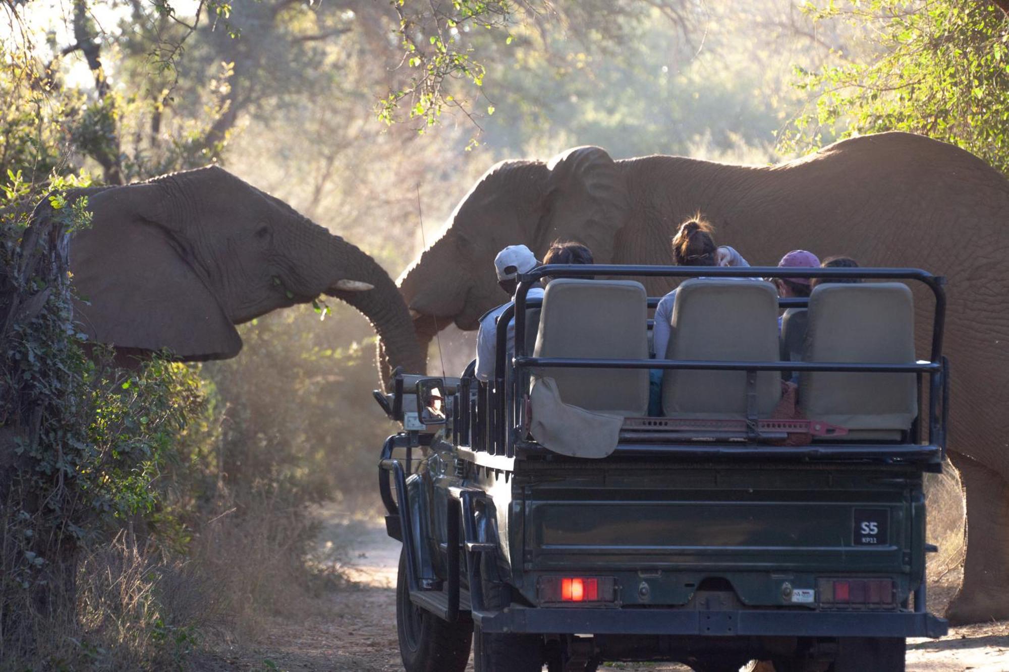 Karongwe Portfolio - Becks Safari Lodge Karongwe Game Reserve Екстер'єр фото