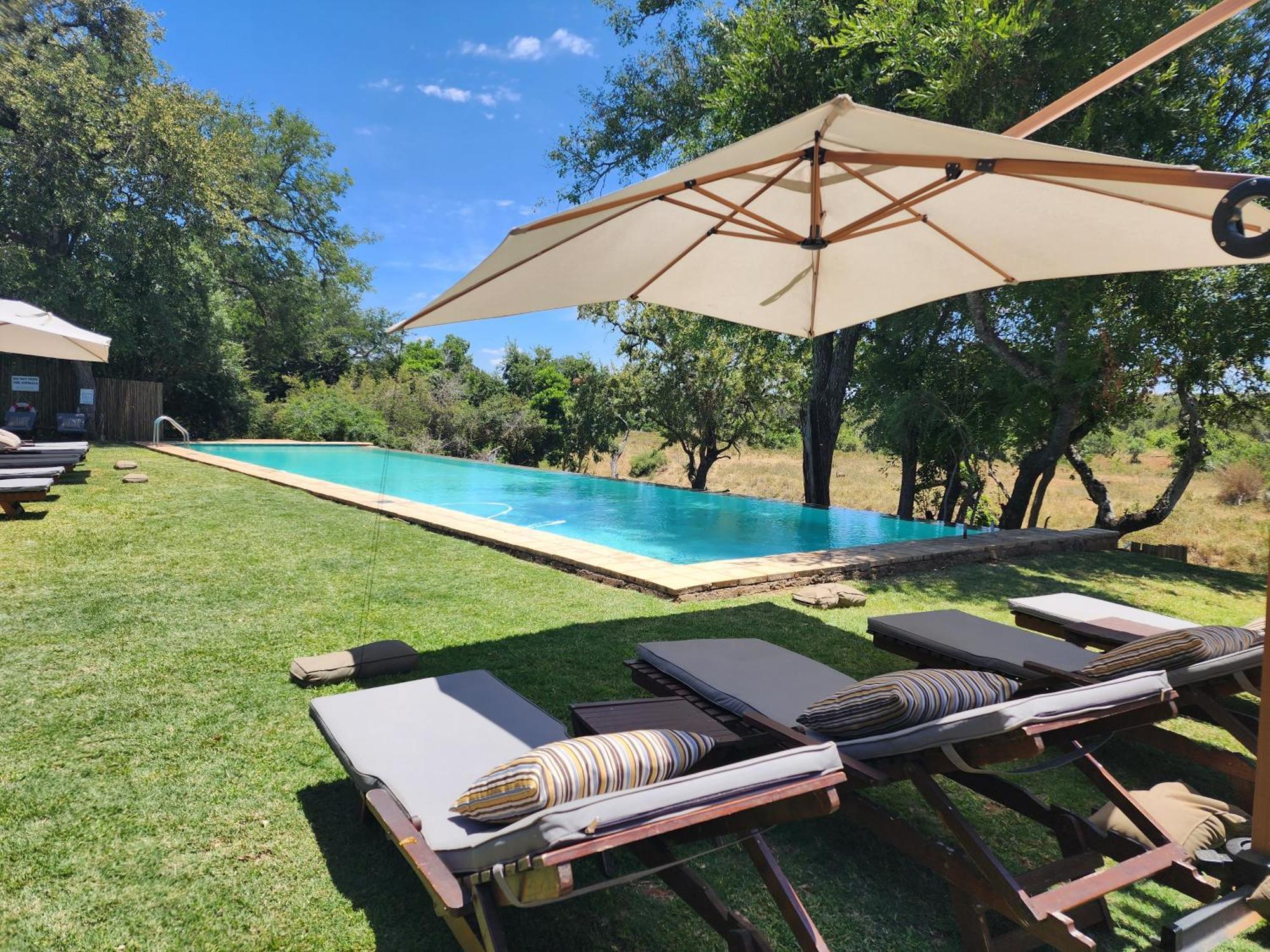 Karongwe Portfolio - Becks Safari Lodge Karongwe Game Reserve Екстер'єр фото